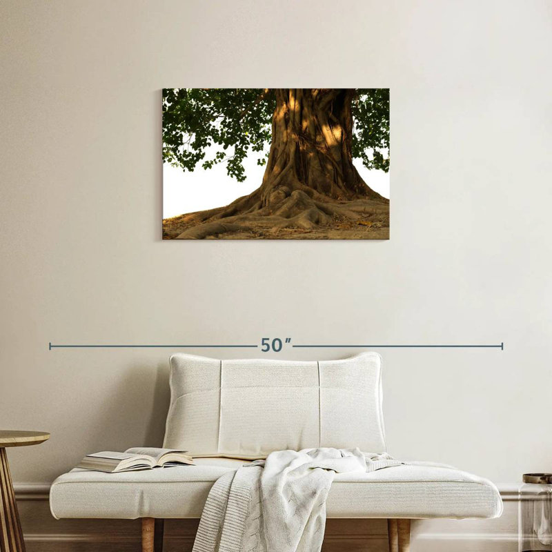 Harnek Bodhi Tree, 20" H x 30" W
