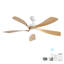 Ventilateur de plafond moderne de 52 pouces avec 3 lumières à intensité variable et 5 pales pour moteur à courant continu réversible-288843108-288843106
