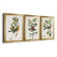 Oiseau antique, botanique et œuf I - ensemble de 3 peintures sur toile encadrées-1128397847-1128397846