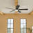 Lucian 60'' Ceiling Fan with LED Lights-715556766