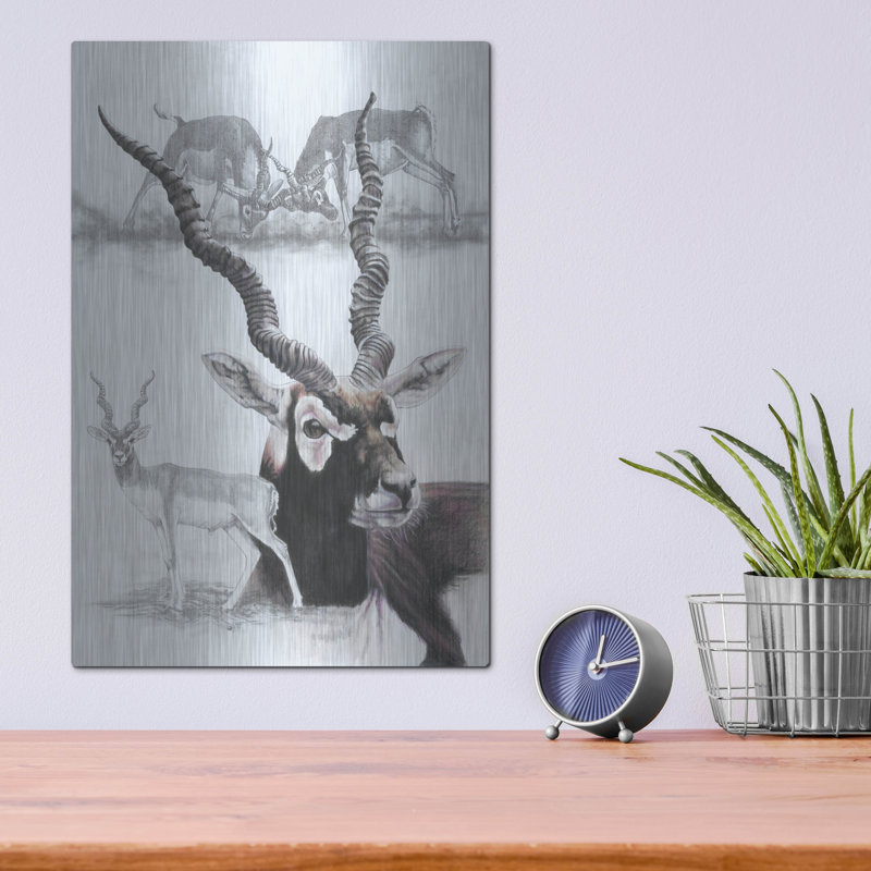 «Black Buck» par Barbara Keith, H 16 po x l 12 po