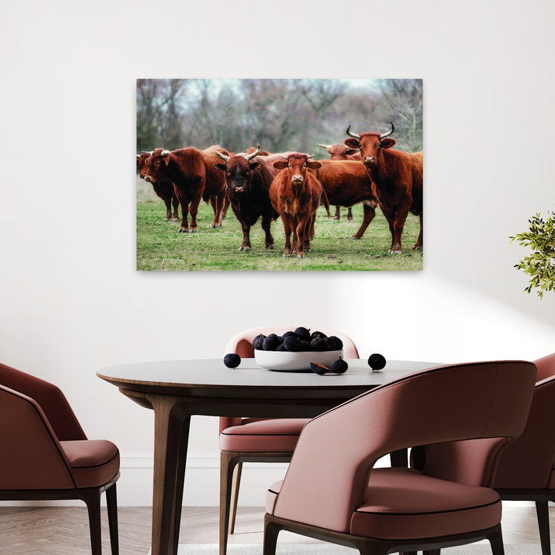 «Gathered Together», art contemporain de vache, H 24 po x l 36 po