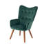 Hollowayville Velvet Armchair