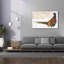  «Pheasant 1» par Stellar Design Studio, art mural en toile, 60 po x 40 po