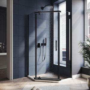 SHOWER DOOR
