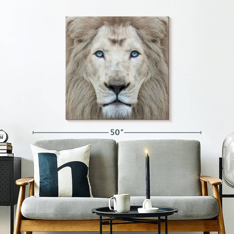 Brampt Exotic Lion