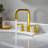 Wishful 8. in Widespread 2-Handle Bathroom Faucet-110897455
