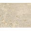 Effervescence Polka Dots Area Rug in Neutral/White-40706242