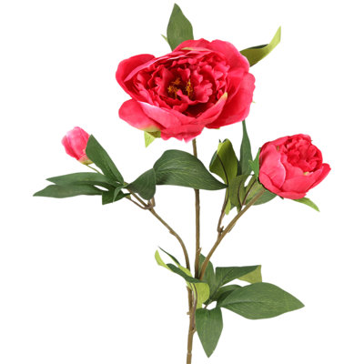 Peony Arrangement
