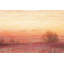 Parvez Taj - Wrapped Canvas Print-16672719