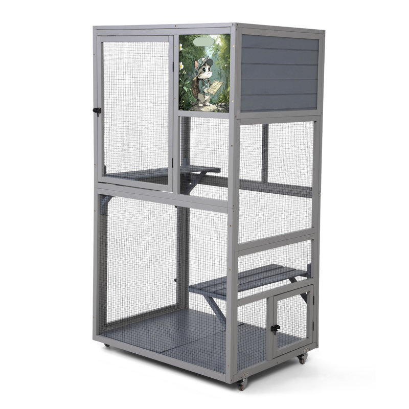 Enceinte d'extérieur avec plateformes Catio
