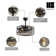 AuroraBreeze 20'' Ceiling Fan with Light Kit