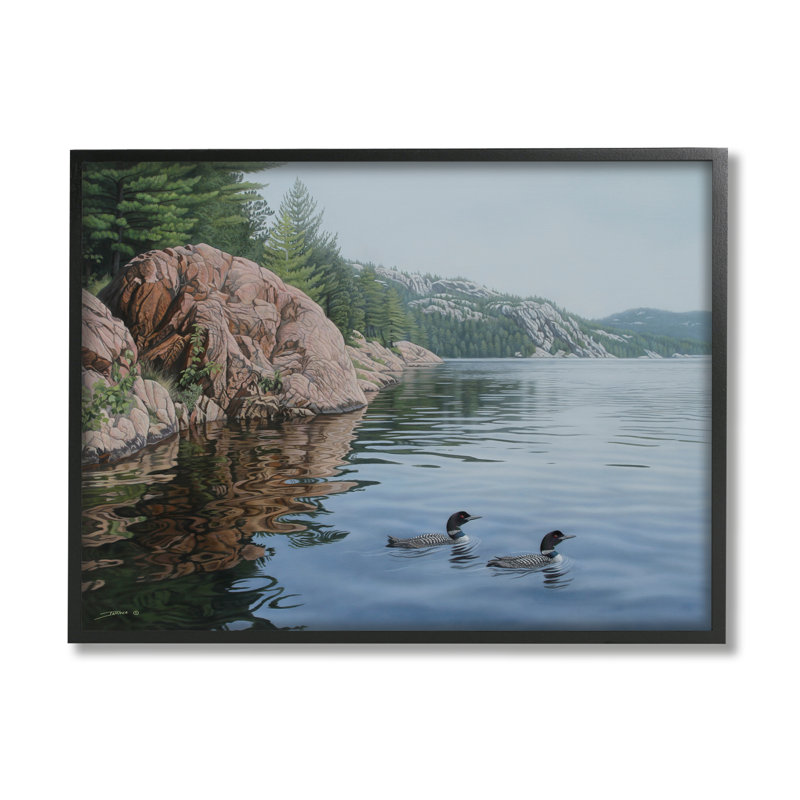 Natation, canards, paysage, encadré sur bois, par Clinton Jammer, photographie, H 11 po x l 14 po x P 1,5 po
