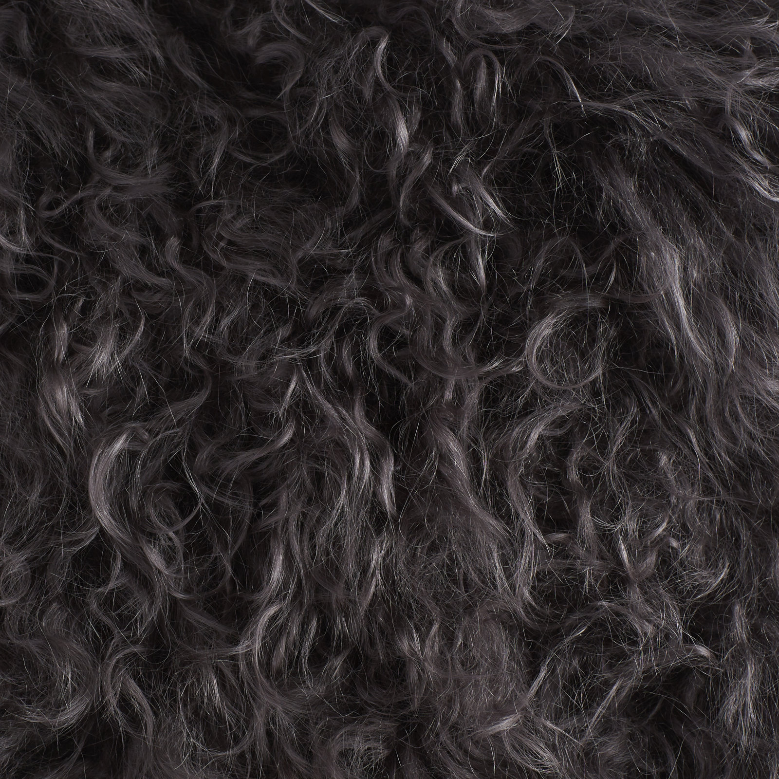 Iyana Wool Throw Pillow, Dark Gray, Square 20"