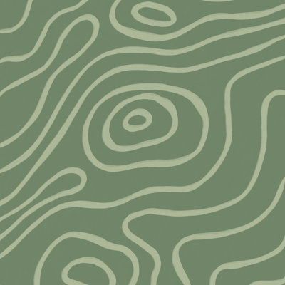 Carte topographique vert grisâtre