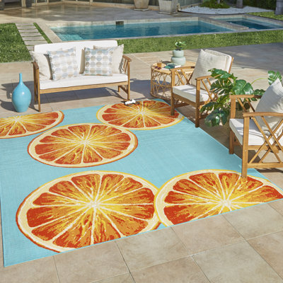  Jona Manna Teal/Orange Bright Citrus Indoor/Outdoor Flatweave Area Rug