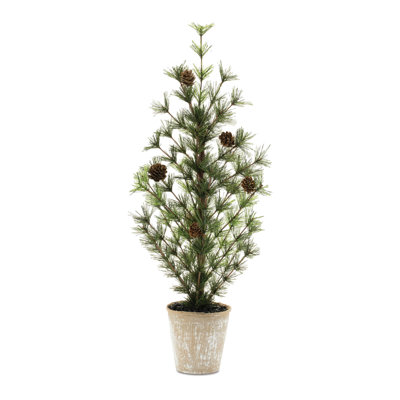 Mini pin en pot H 24 po