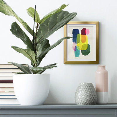 HydrusphereII Framed Print