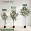 Plant-1480629304