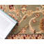 Odyssey Oriental Indoor Rug