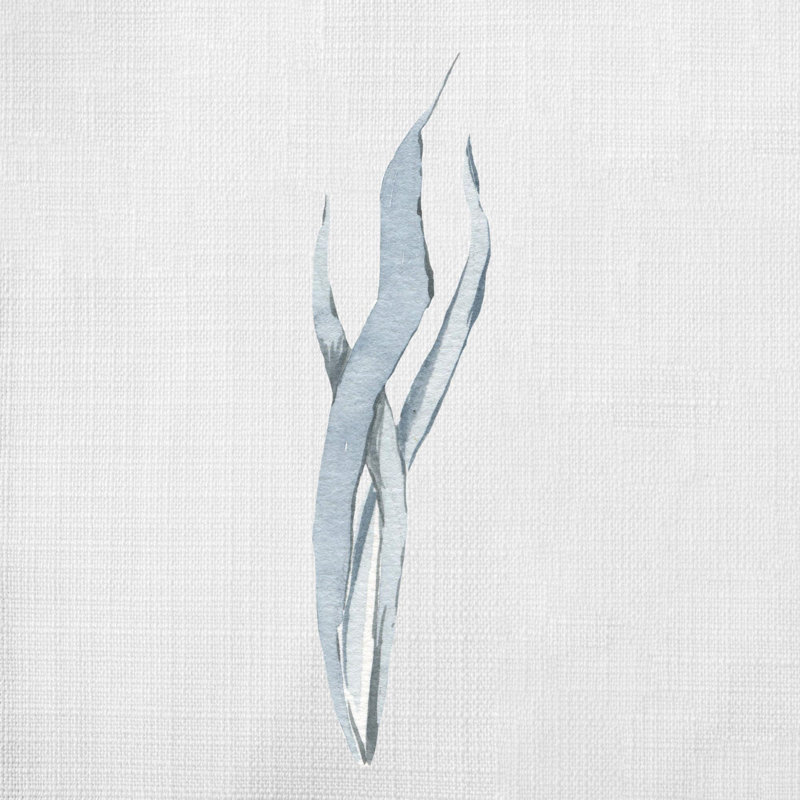 Coussin les deux, H 18 po x l 18 po