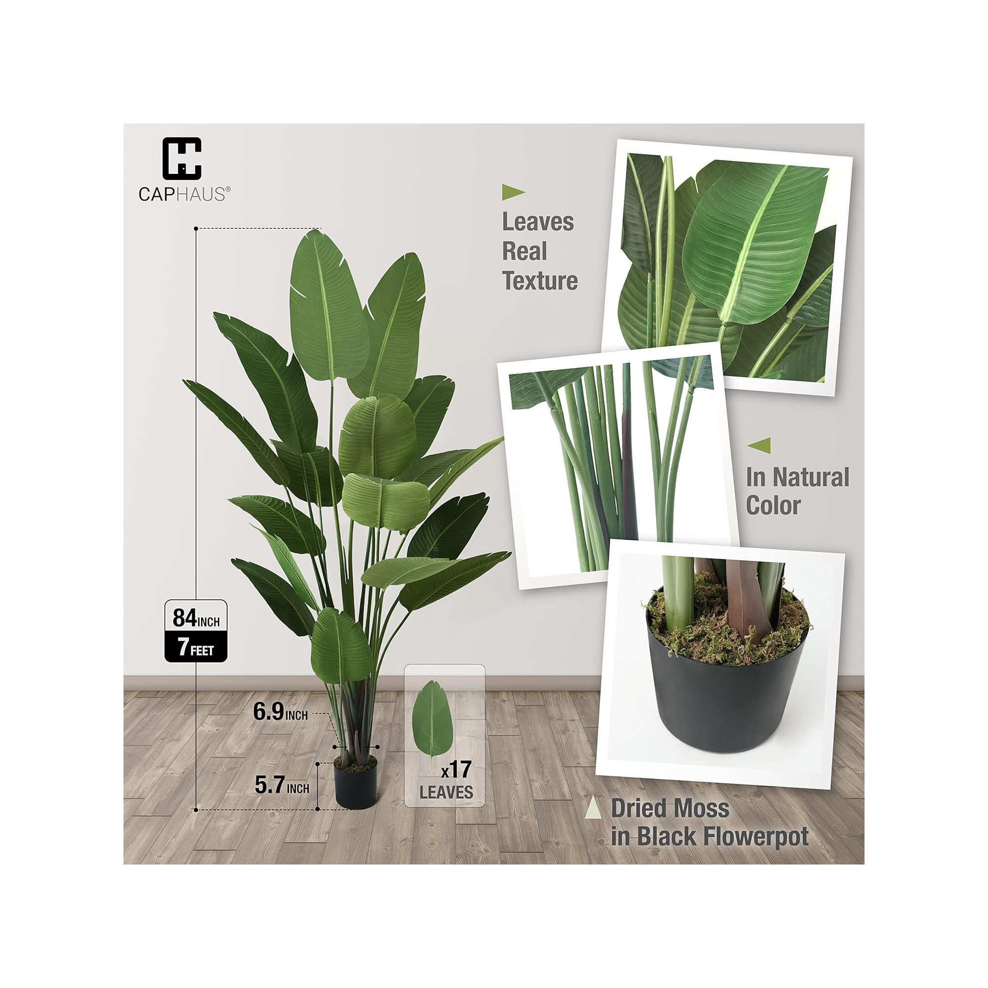 Birch Lane™ Artificial Bird of Paradise in Pot with Dried Moss, UV Resistant, 4 / 5 / 6 / 7 Feet, 80" H x 7" W x 7" D