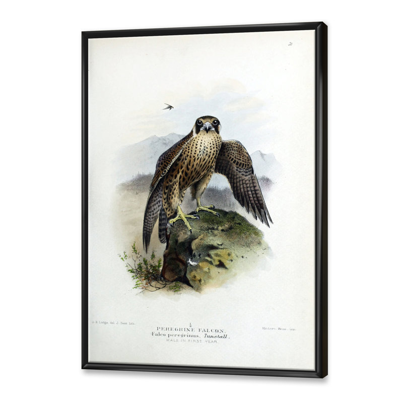 Vie d'oiseau rétro - peinture sur toile, H 32 po x l 16 po x P 1 po, Cadre flottant noir