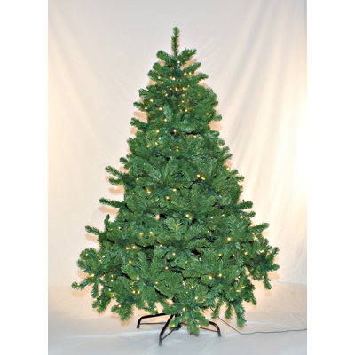 72" Lighted Pine Christmas Tree