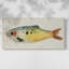 Poisson fantaisiste I - Toile tendue avec châssis - Prêt à accrocher-263956545