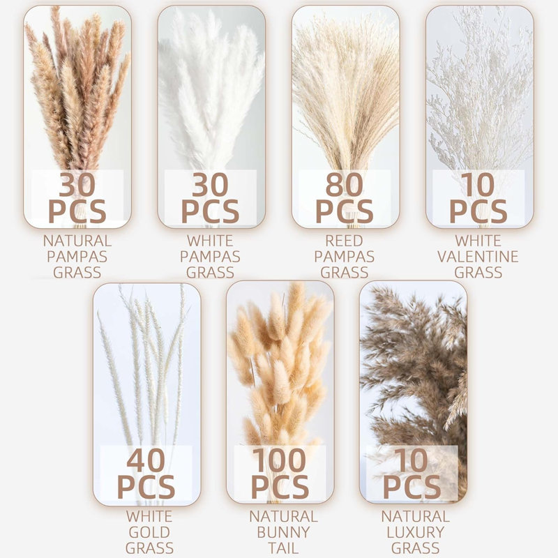  300 pièces d'herbe de pampa séchée naturelle, de fleurs séchées de boho pour des arrangements floraux de mariage (300 pièces)