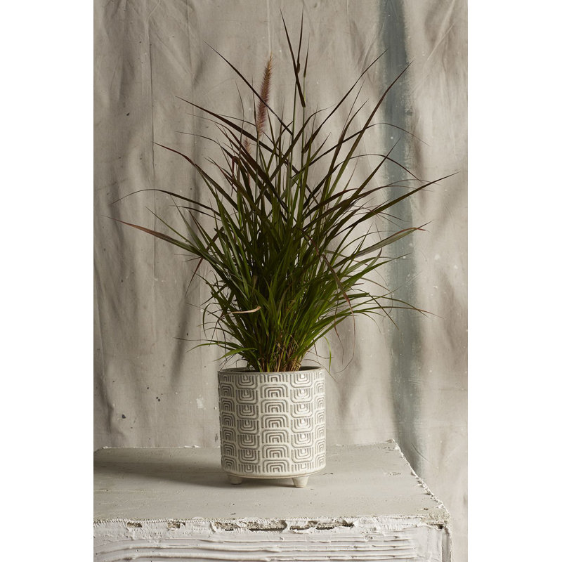 Pot à fleurs en céramique Harissa, H 7,5 po x l 7,25 po x P 7,25 po