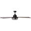 Ventilateur de plafond standard à 5 pales de 60 po avec télécommande et ensemble d'éclairage inclus Akeiya-1425709840