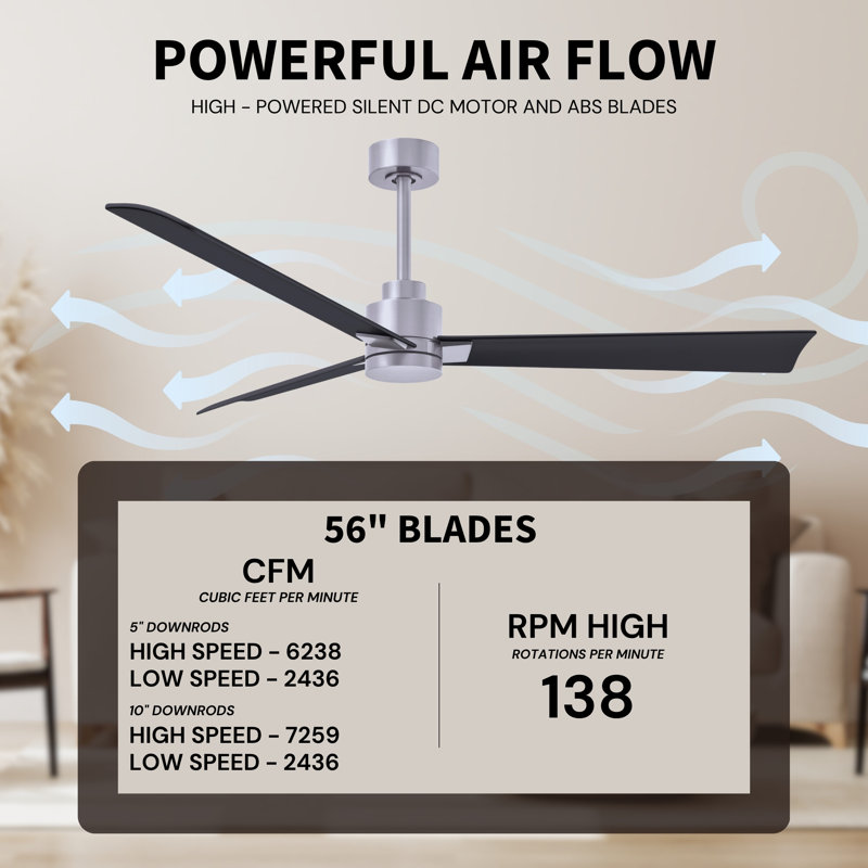 Alessandra Outdoor Downrod Ceiling Fan, Matte Black, Brushed Nickel