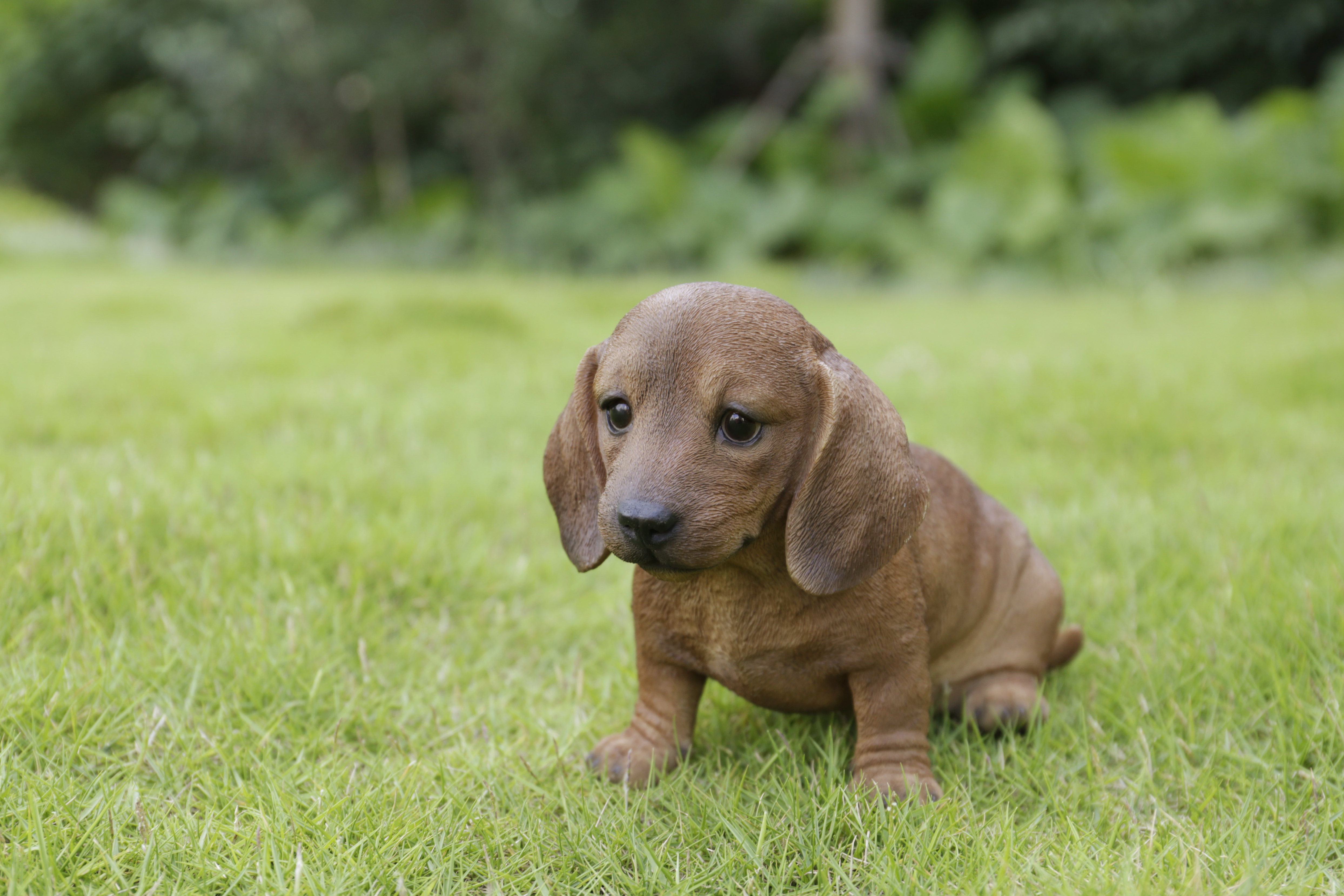 Hi-Line Gift Ltd. Howling Dachshund Puppy Statue & Reviews