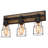 Roksana 3 - Light Dimmable Modern Farmhouse Black Vanity Light