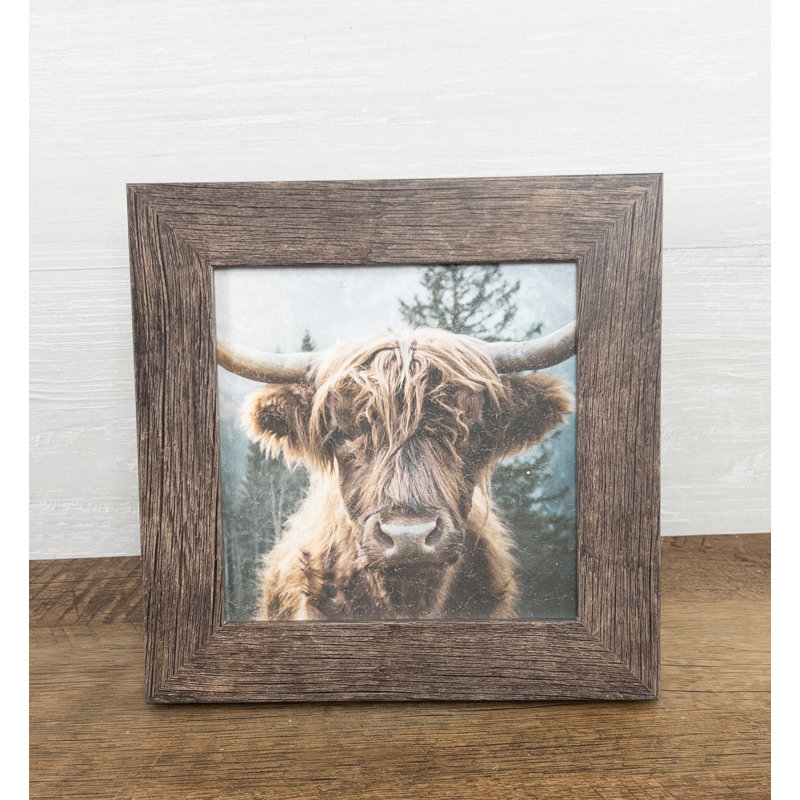 Highland Cow Bétail, art encadré sur papier