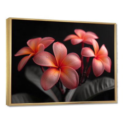 Neumann - Plumeria Wall Art Living Room