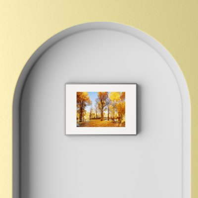 Metal Picture Frame