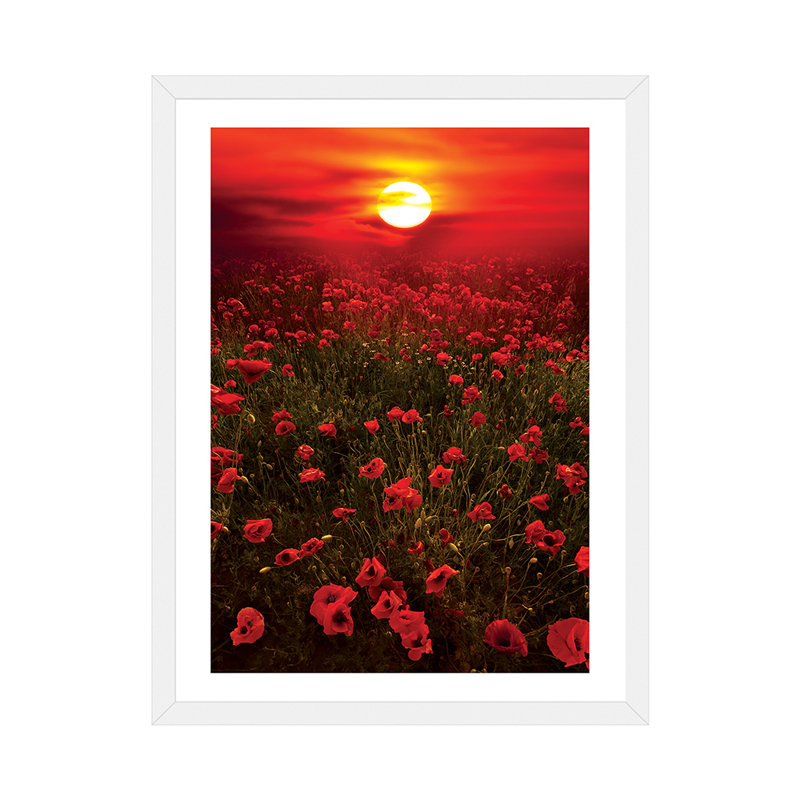 « chaleureux coucher de soleil » par marco carmassi-reproduction de photo, H 32 po x l 24 po x P 1 po
