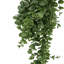 75cm Faux Plant-127681153