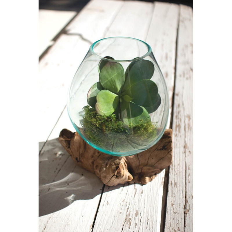 Bol en verre soufflé sur base en bois flotté - grand