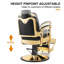 Black & Gold Salon Barber Chair 360 Degree Swiveling Recliner