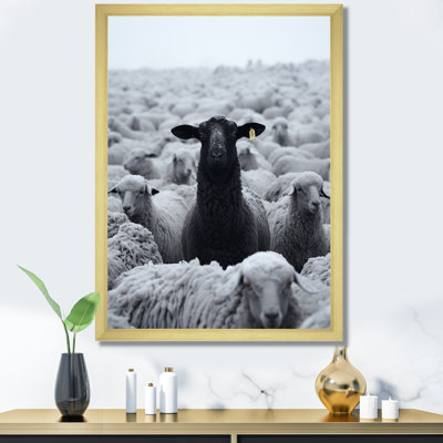 Solitude Goat - Goat Animal Wall Art