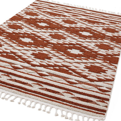 Alisia Southwestern Area Rug