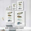 Collection Feather - Cavas enveloppés de galerie-1828670576