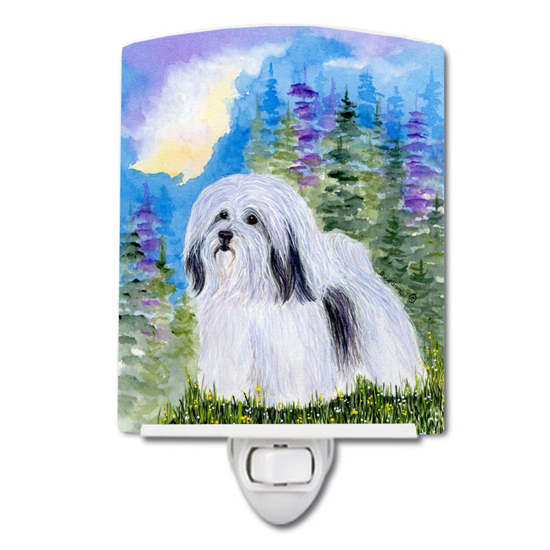 Éclairage de nuit en céramique havanese