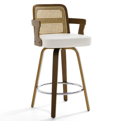 Upholstered Cane Back Counter & Bar Stool With Armrest