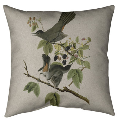 John James Audubon Cat Bird Floor Pillow - Standard