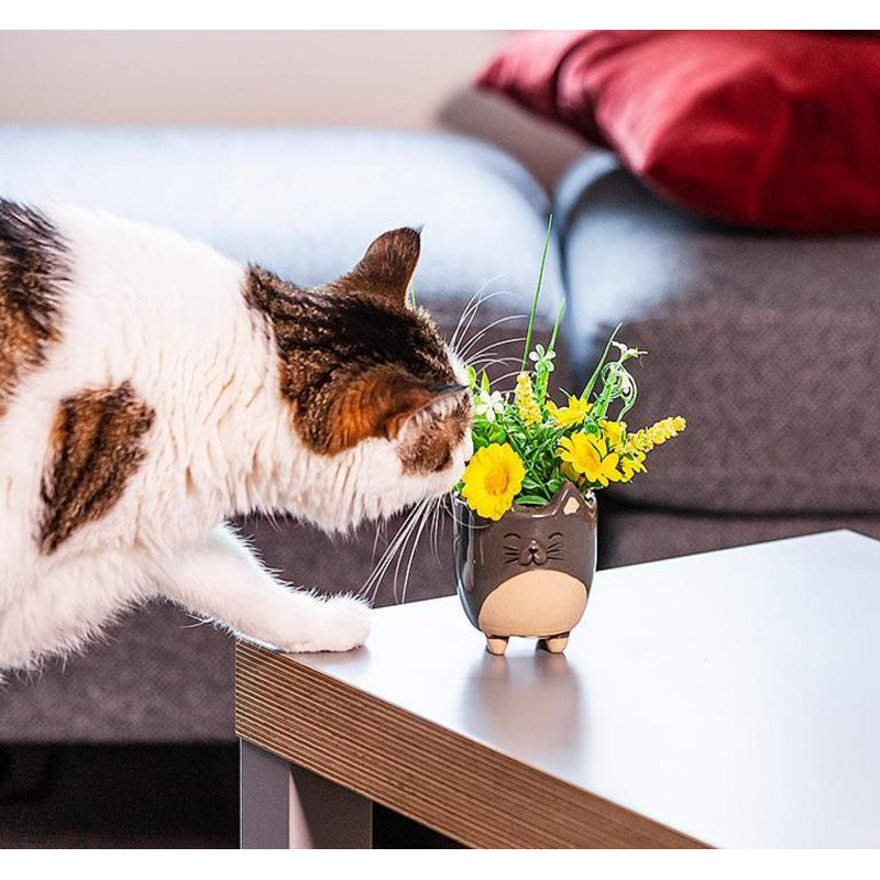 Pot à chat gris sur pieds