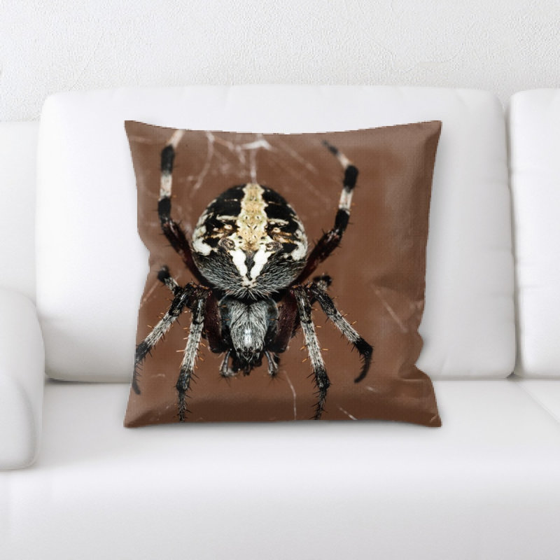 Coussin de spider